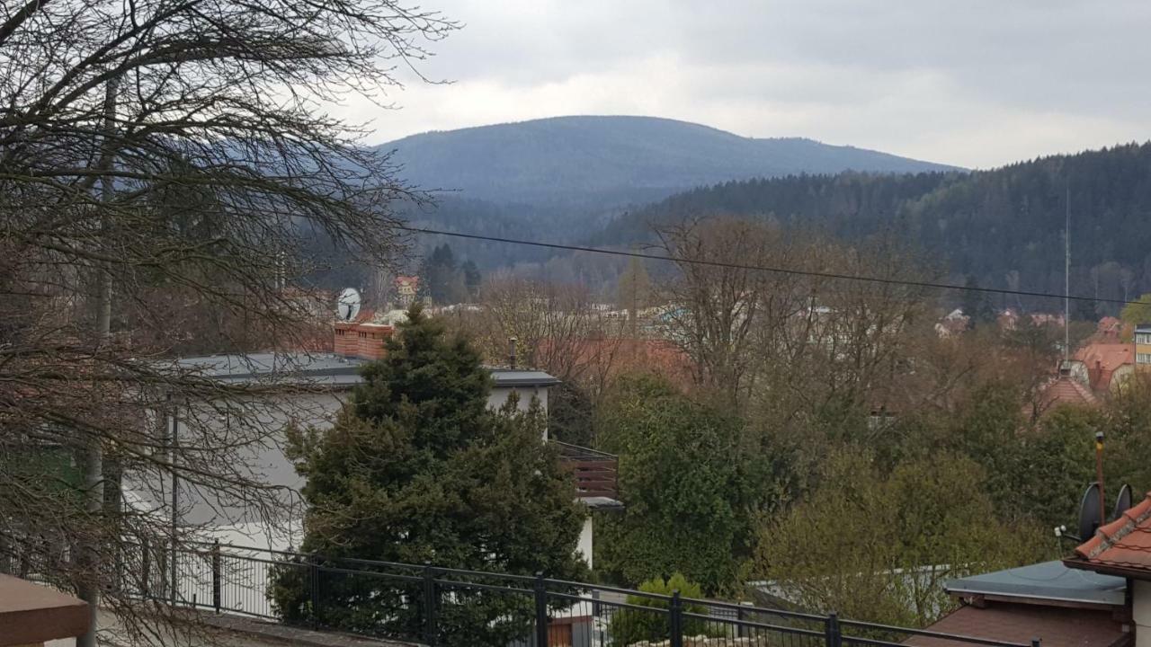 Apartament Z Widokiem-Blizej Zdroju Polanica-Zdroj Exterior photo