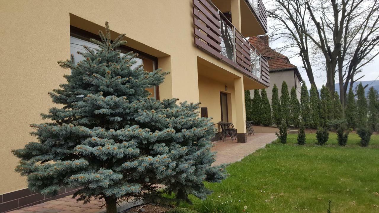 Apartament Z Widokiem-Blizej Zdroju Polanica-Zdroj Exterior photo